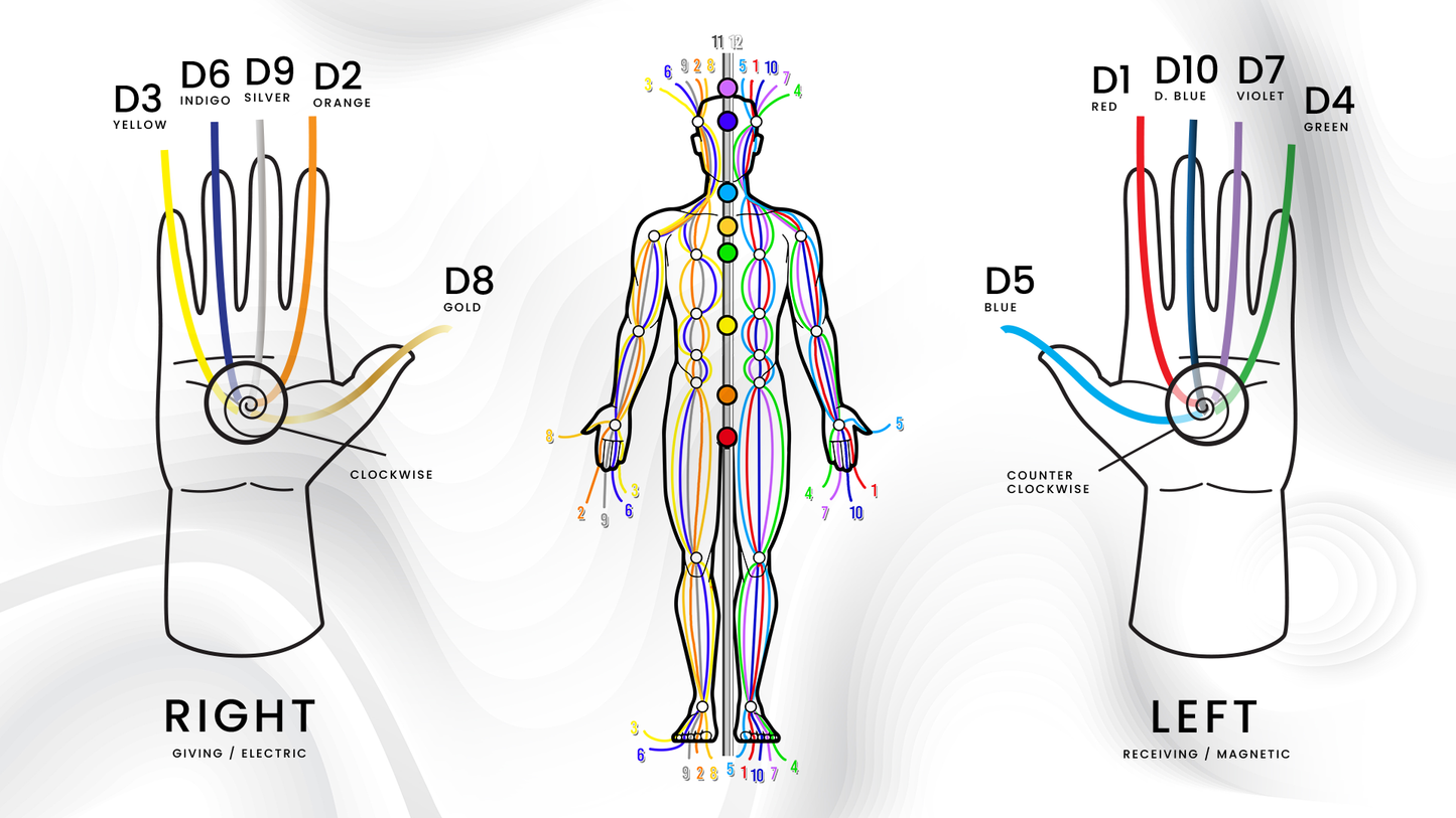 Axiatonal Upgrades Transmission