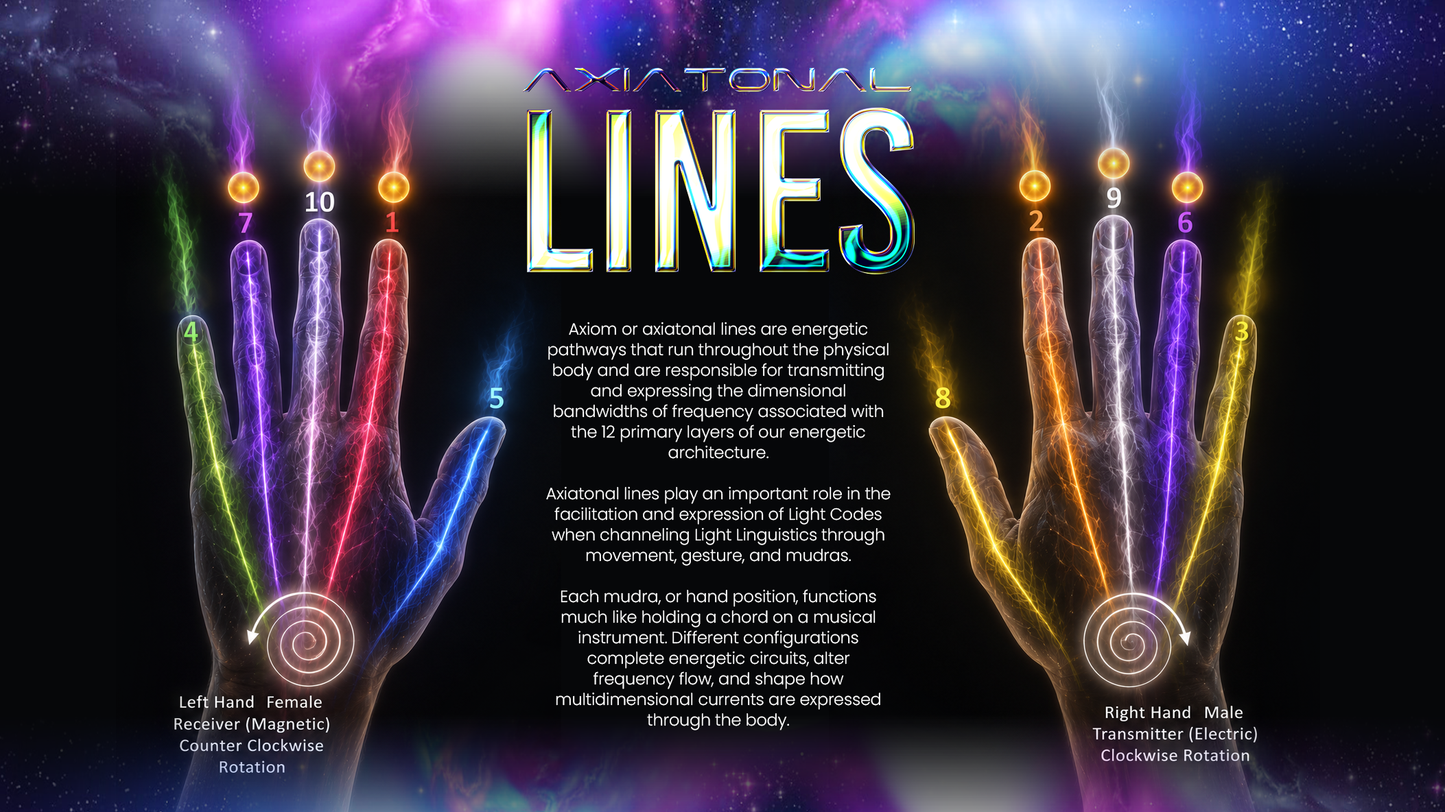 Axiatonal Upgrades Transmission