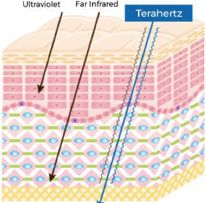 Terahertz Gua Sha Facial Tool with LIGHT CODES - Treat Lymphatic System & Shift Energy!